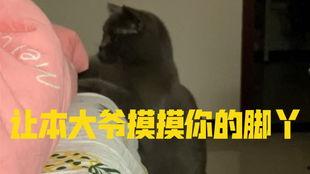 小欢喜吃瓜篇,揭秘剧中的吃瓜瞬间，笑料百出！