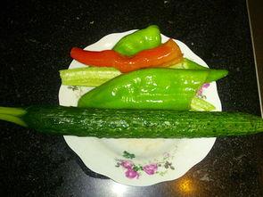 阿瓜吃彩椒,一场味蕾与色彩的奇妙之旅