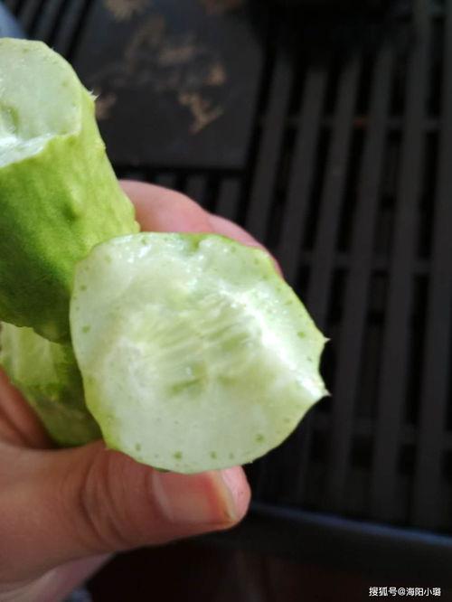 孕期可以吃白玉瓜,白玉瓜助力母婴健康