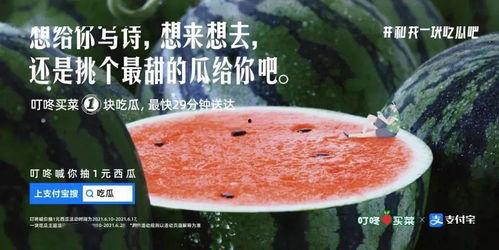 描写吃瓜的文章,一场味蕾与视觉的盛宴