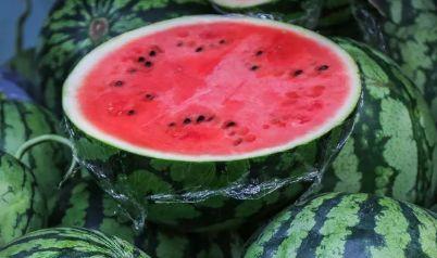 吃西瓜装瓜,吃西瓜装瓜，创意无限乐趣多