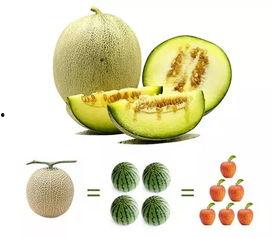 瓜哥吃瓜雪糕是哪一集,揭秘热门剧集幕后趣事