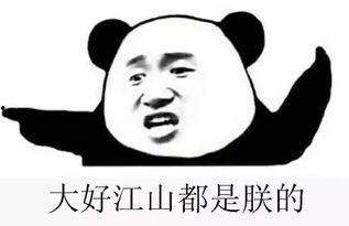 绅士吃瓜群密码,揭秘网络社交圈的神秘面纱