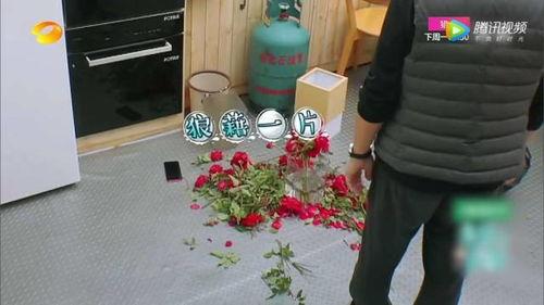 礼貌吃瓜君,品味生活点滴