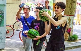 大学的吃瓜事件,揭秘校园里的“瓜田”风云