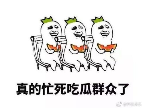 吃瓜太累,揭秘娱乐圈幕后真相